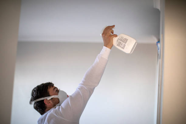 Best Local Mold Removal Service  in Waterville, OH
