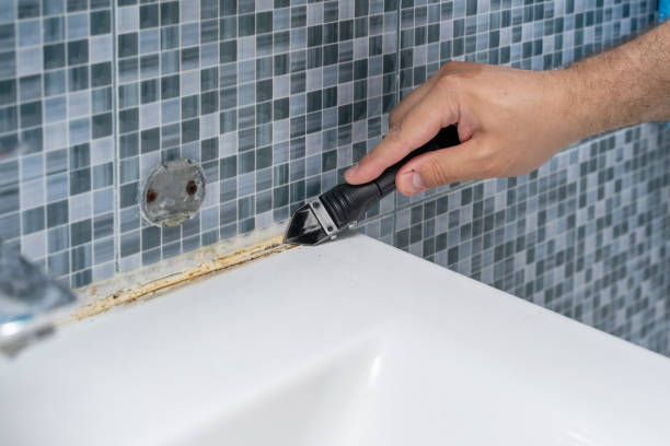 Best Certified Mold Removal  in Waterville, OH