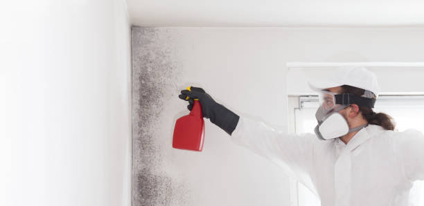 Best Mold Testing  in Waterville, OH